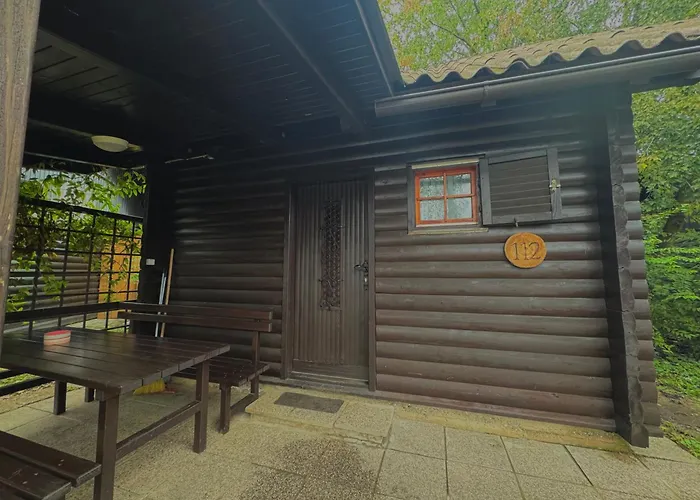 Teddy * Catez ob Savi